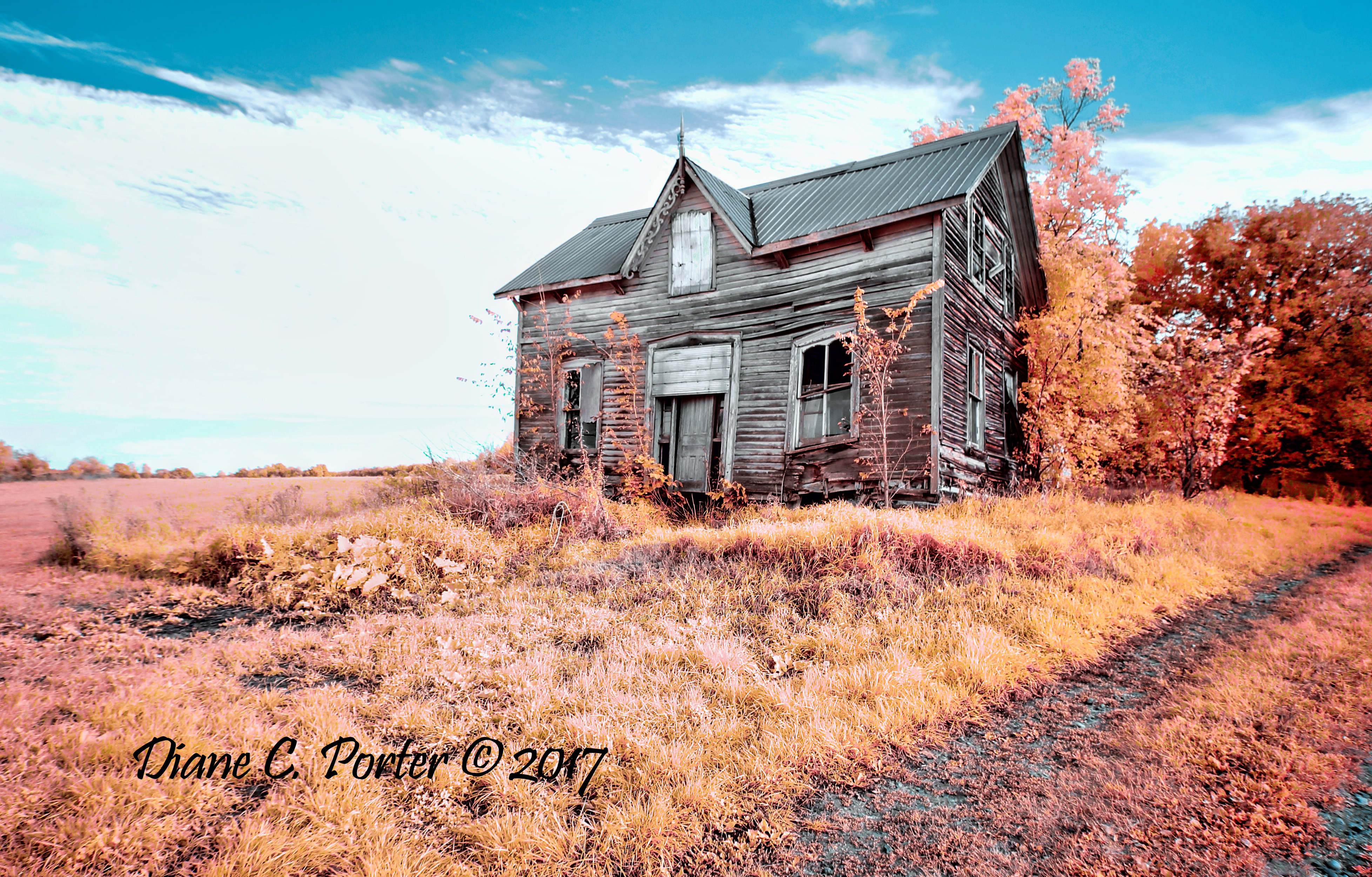 Seeleys Bay Kolari Vision